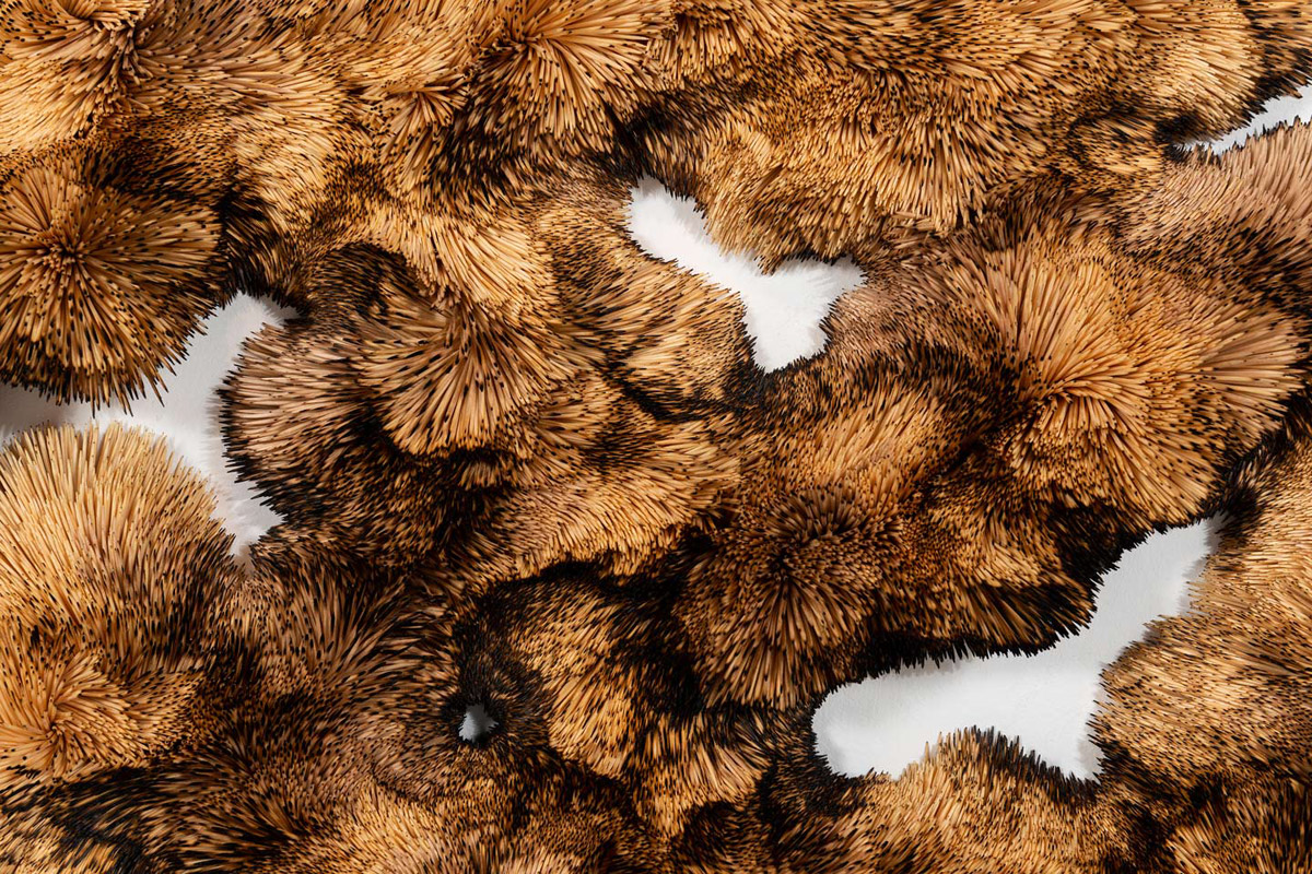 Chris-Soal-Phoenix-Detail