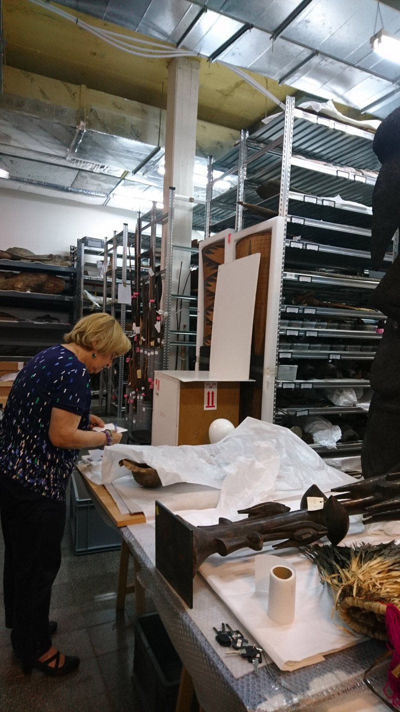 Annual SAFIM Internship