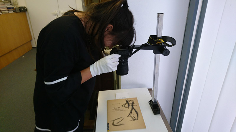 Annual SAFIM Internship