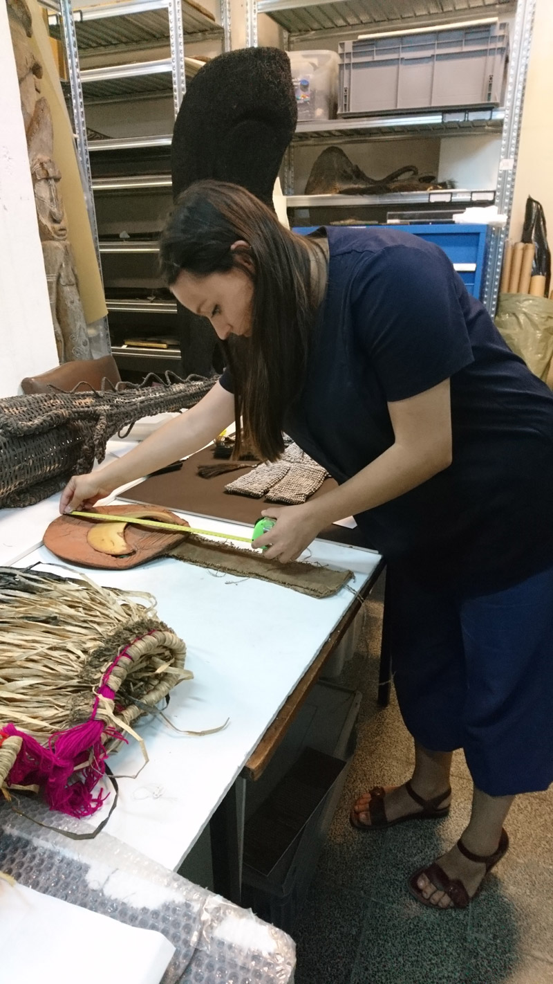 Annual SAFIM Internship