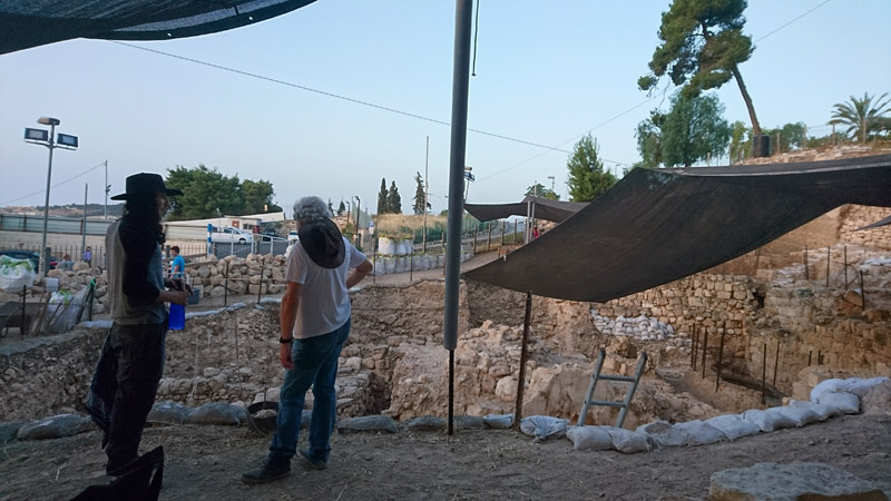 Annual SAFIM Internship