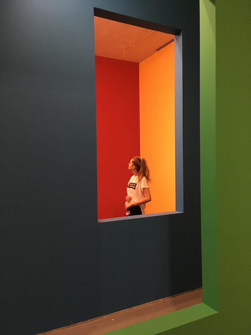 Annual SAFIM Internship