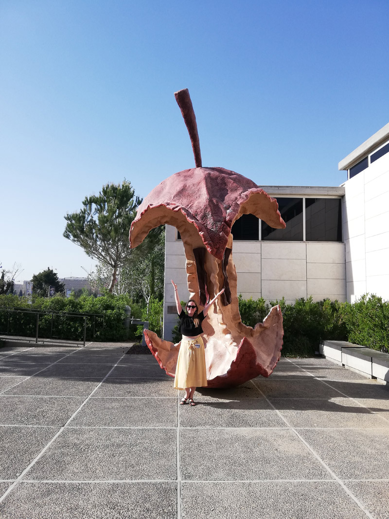 Annual SAFIM Internship