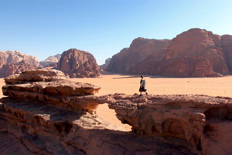 Annual SAFIM Internship